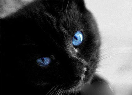 �����˺������۵����� �������˵Ŀ��Դ���������������Ϣ