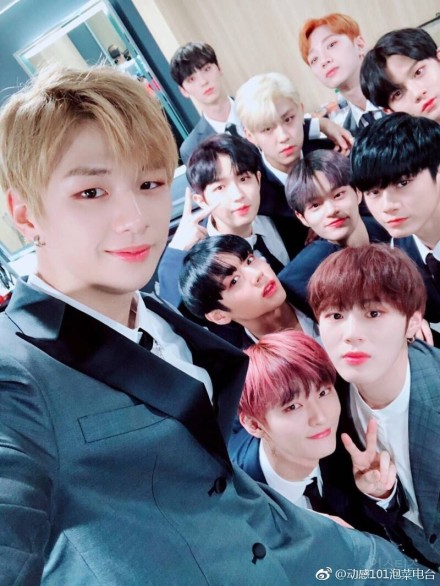 Wanna OneΪʲô�����ܡ��� Wanna One��ɢ����ȷ������