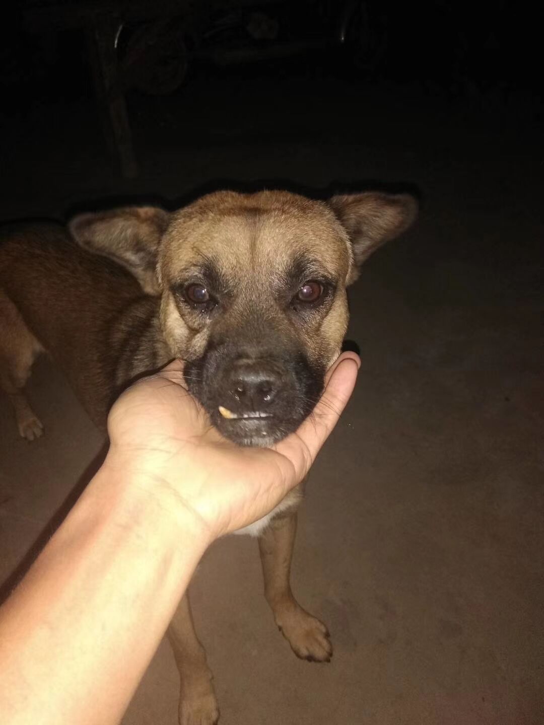 ��������������ô����ξ��� ������̫��û����