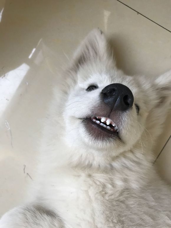 ��������������ô����ξ��� ������̫��û����