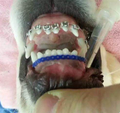 ��������������ô����ξ��� ������̫��û����