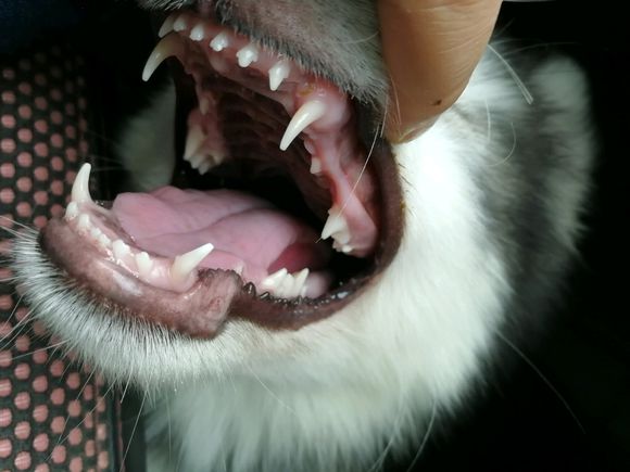 ��������������ô����ξ��� ������̫��û����