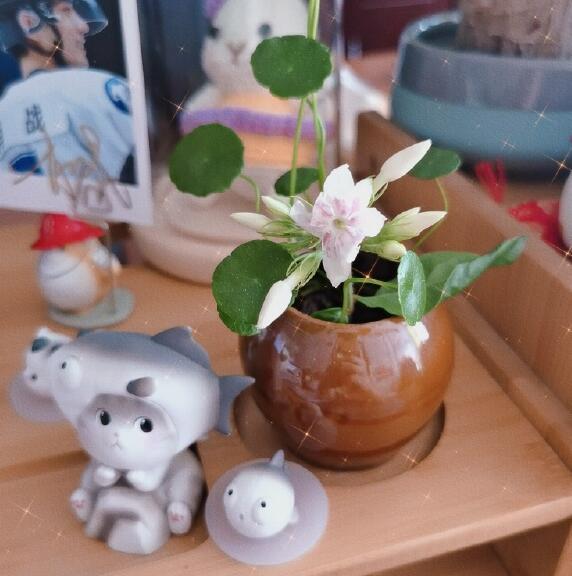 8�ֶ�����Ŵ�ͷ���й� ��䴫˵��ͷ��Ҫ��8�ֶ���