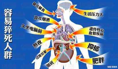 �����������ȫ������¼�� ��������10����Ҫԭ��