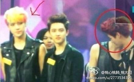 ����ѫ�Դ�¹�϶�̬ͼ ����ѫΪʲô��С�ҡ����