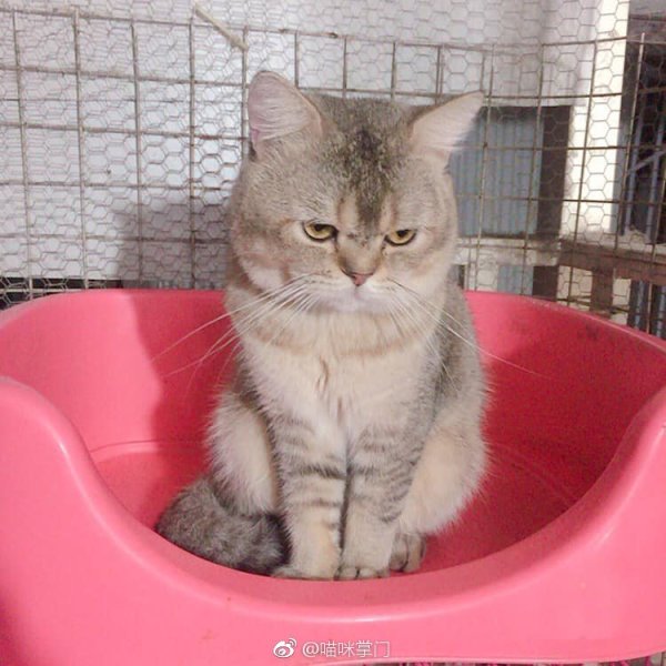 è�ı�����ʲô è�������вƻ�������