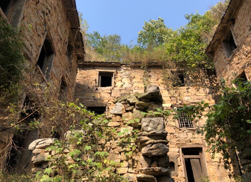 ���Ŵ嵽�׷�����ʲô�� 1963�������¼���ô����