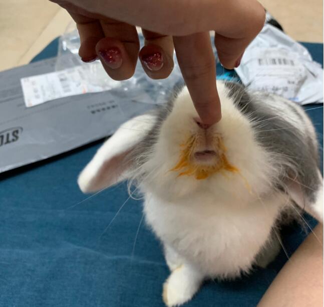 ������ΪʲôԽ��Խ�� �����ú�èè�á�٪��������ĸ�����