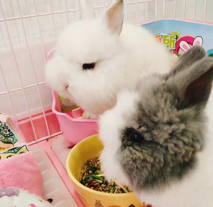 ������ΪʲôԽ��Խ�� �����ú�èè�á�٪��������ĸ�����