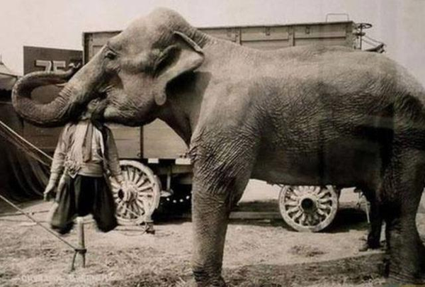 �Ŵ�����Ц������ôִ�е� �й��Ŵ��ʵ۷����Ŀ�������Щ