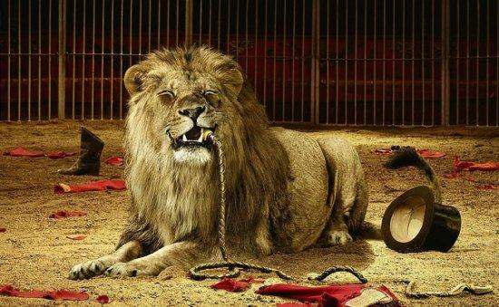 �Ŵ�����Ц������ôִ�е� �й��Ŵ��ʵ۷����Ŀ�������Щ