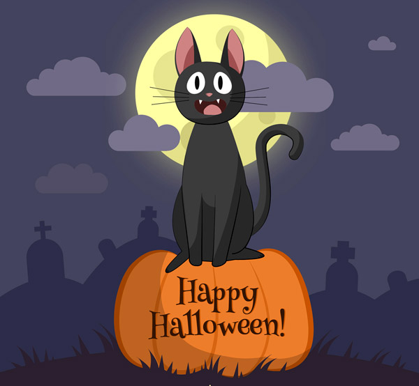 ��˵��èԵ���� è�İ��������Լ���ѡū��