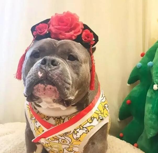 ���ȮΪɶ���Ķ���� ��Ҫ���ϵ�ѵ��