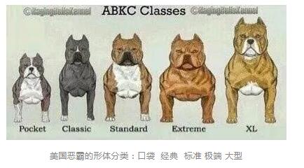 ���ȮΪɶ���Ķ���� ��Ҫ���ϵ�ѵ��