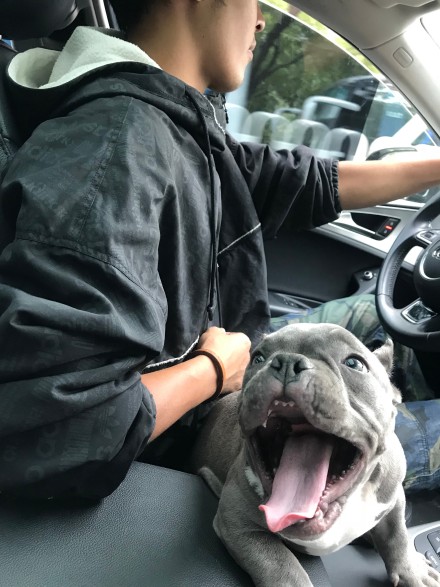 ���ȮΪɶ���Ķ���� ��Ҫ���ϵ�ѵ��