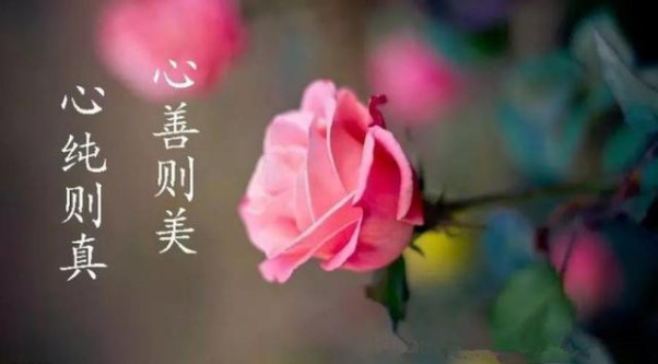 ���������������� ��������ô����