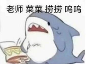 ��ʦ�˲���������ʲô��˼ ��ô�ظ������