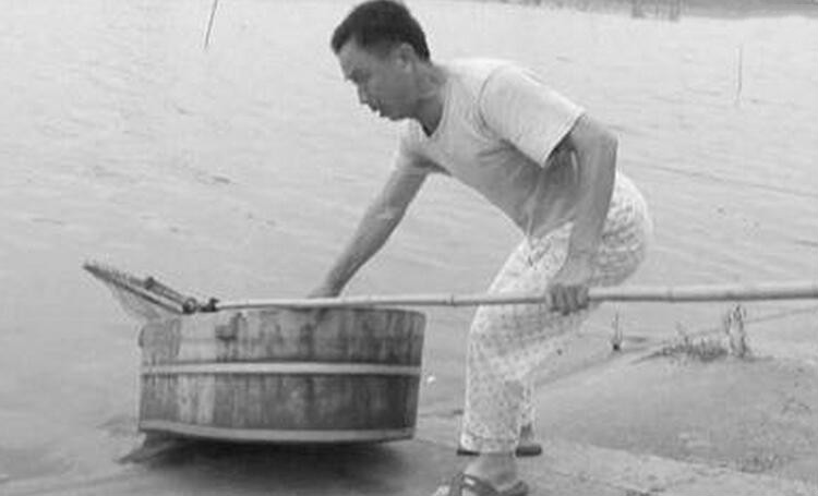 ���˻�ľ���5�� һ����Ͳ�������ֻΪ����