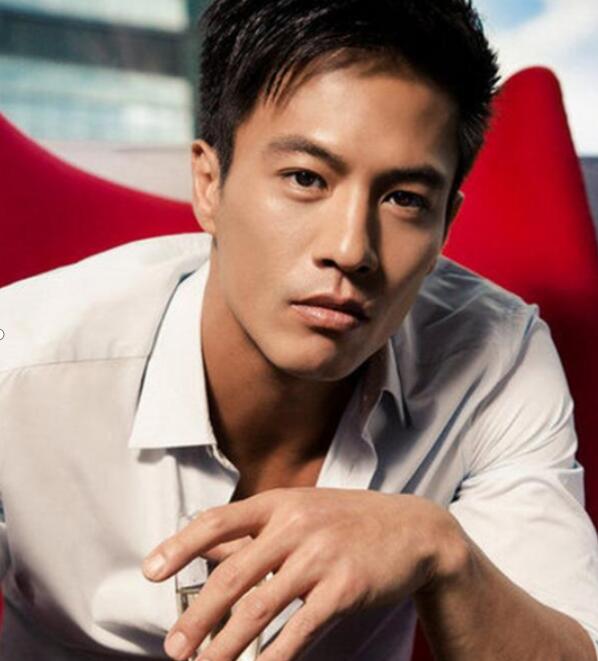 安志杰是谁 并没有系统的学过武术