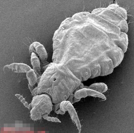 ������ʭ���� ����ͳ�ƨ����������