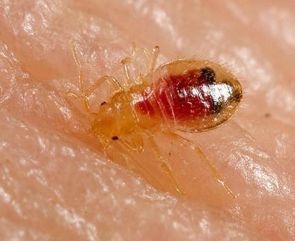 ������ʭ���� ����ͳ�ƨ����������