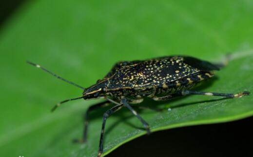 ������ʭ���� ����ͳ�ƨ����������