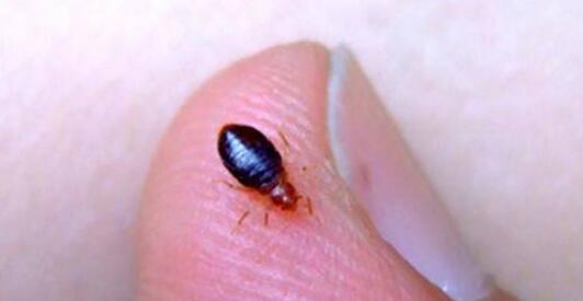 ������ʭ���� ����ͳ�ƨ����������