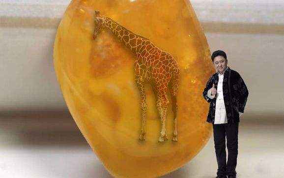 ��������t�� ����Ӣ����AmberԢ��ò���