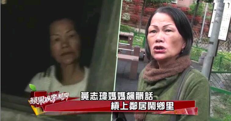 ��־���ǻ�Ѫ�� ��־�⸸ĸ������Ƭ