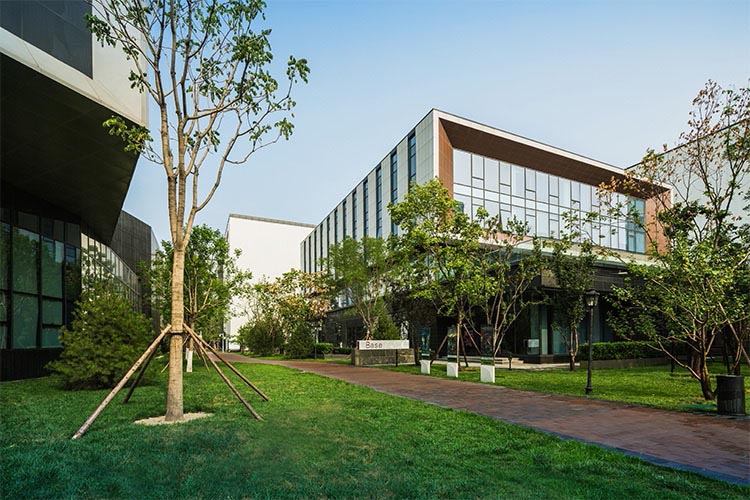 ż����ϰ�����к���ʲô�� ���к�������Ա����