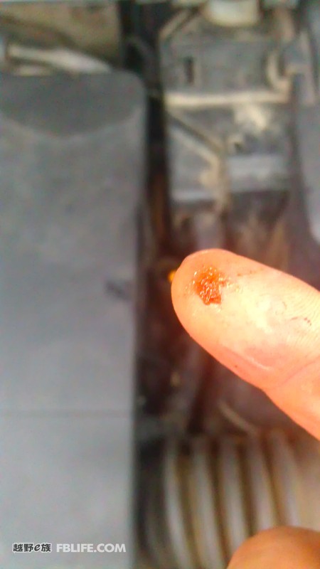 ���������ʧ������Ƭ ������߶����������ع�