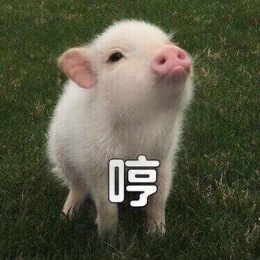 Ů��˵����ʲô��˼�������� Ů���ѷ�����ô�ظ�