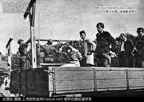 纳粹手势是什么意思 女德国战犯绞刑纪实