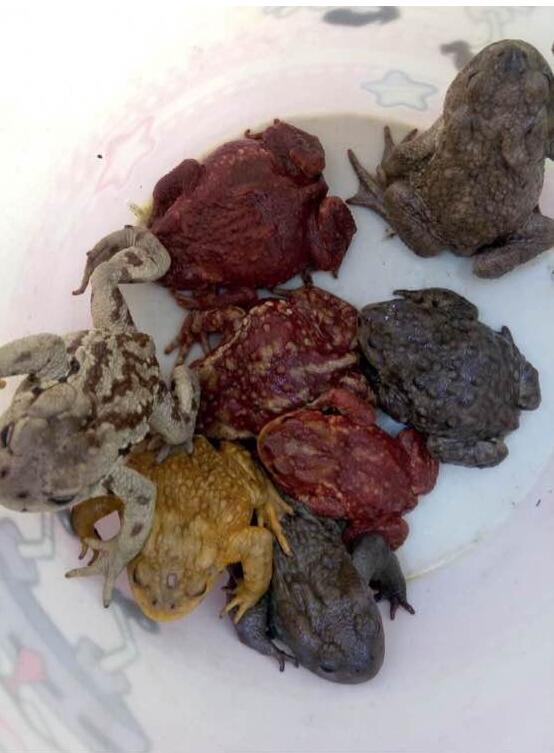 �����ʲô������ʵ������ ��Ľ���ܶ���Ǯһֻ