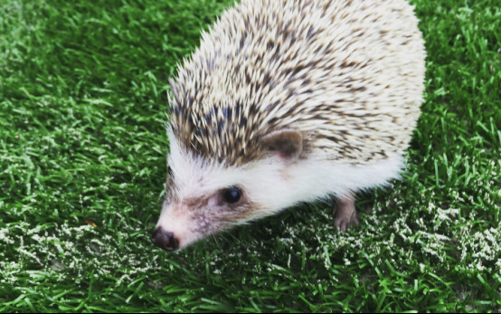 ������������ô�� ���������⬵��������Ի���