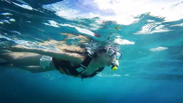 �º��ǳ¿������ֶ���� �ºյ��������������������ع�