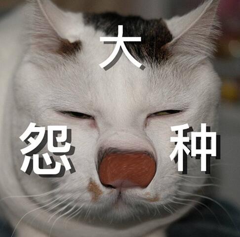 jpg��ʲô��˼ ָ��ͼƬ��ʽҲ��һ����������