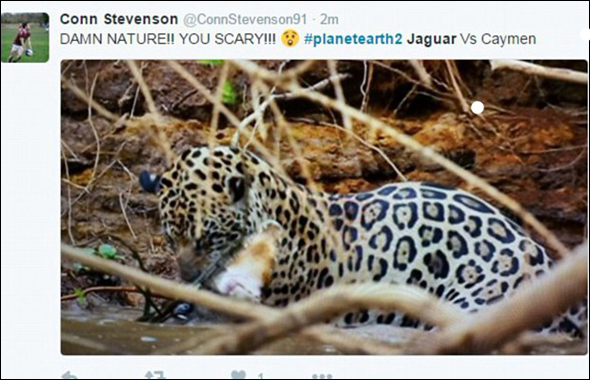 �����������ޱ����Կ����� �������ѣ�ͼ��