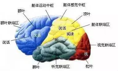 ���Ϊʲô��ä�� ���Ҧ������ʫ����զ����