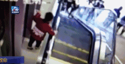 �̳�С�������¹�ͼƬ �̳������¹�����