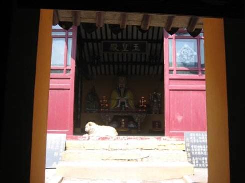 ��������ɶ�������������� �̵�����ǰ��15��������ʲô