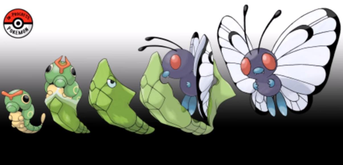 ��ë������ѿ����Ĺ���ʲô ��ë�����˳��ͼ