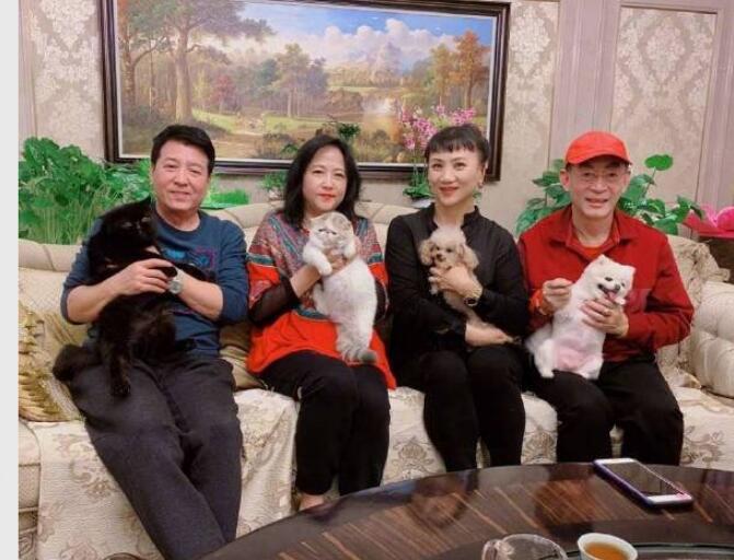 �����������۱������У���� ���ǲ��������