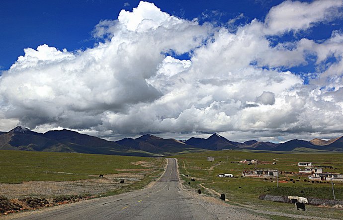 �������ζ����׸� ����������������������