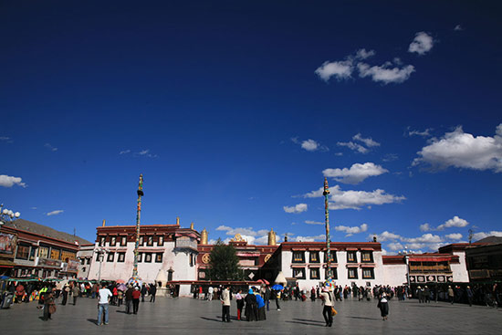 �������ζ����׸� ����������������������