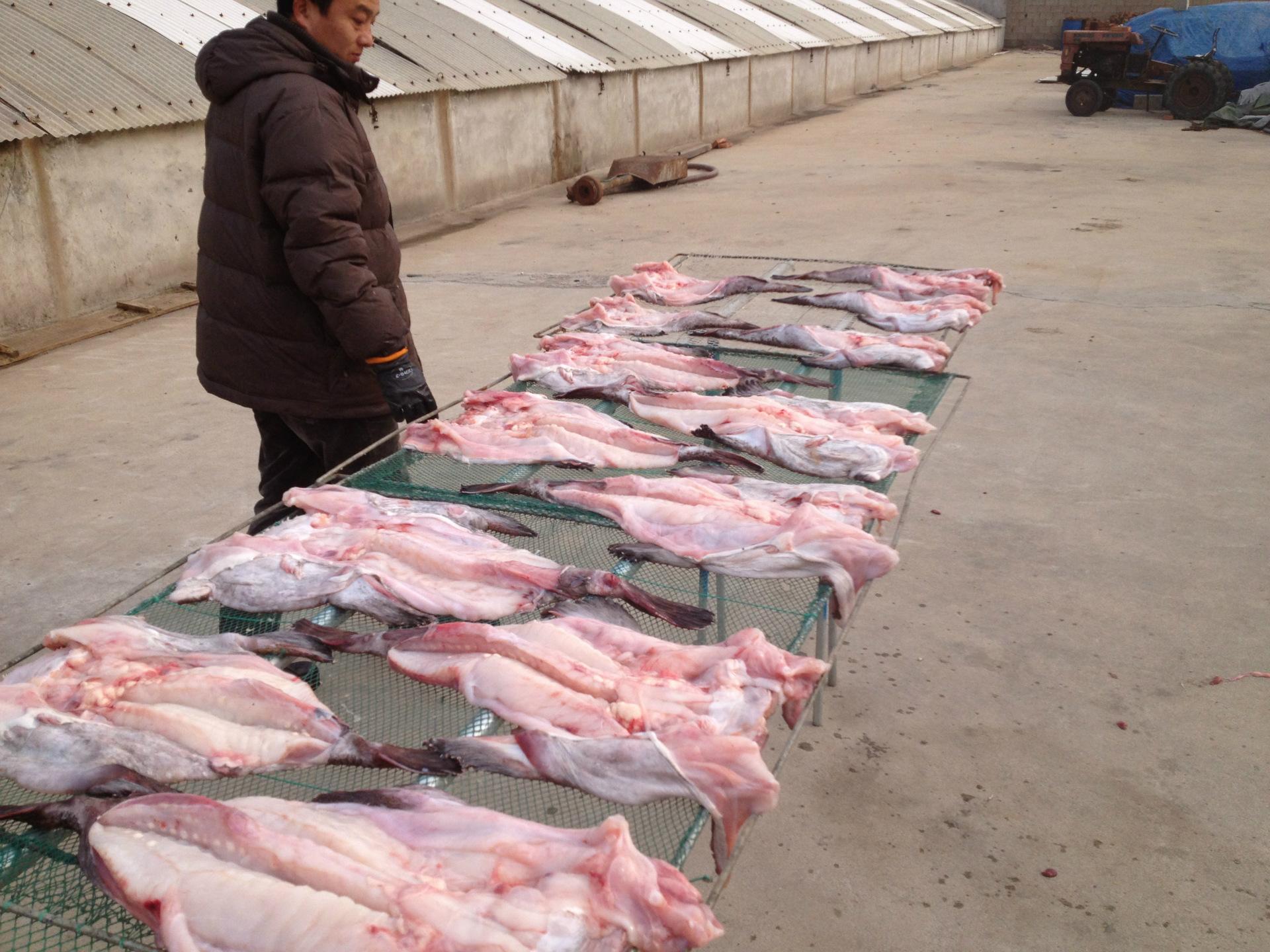 ������Ϊʲô��ô���� �����������ĸ���λ�ж�