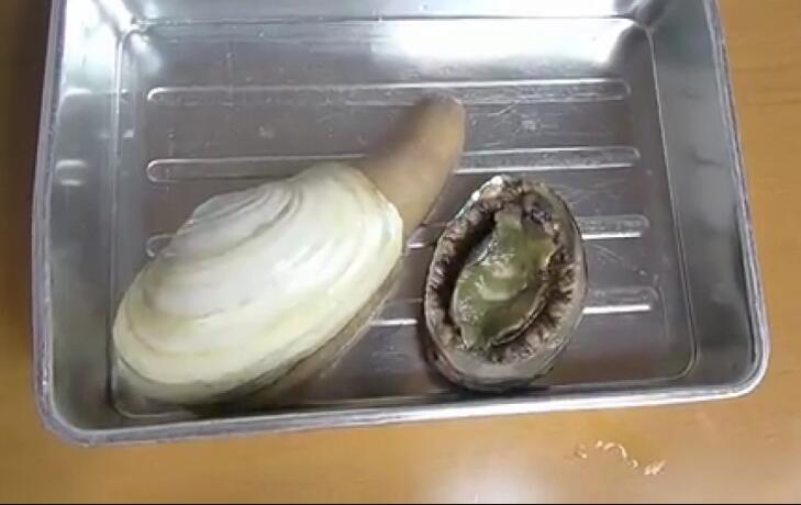 ��ΰ�ɱ�˾ͱ�С �����ڵ�ˮ�ֻᱻѸ���ų�