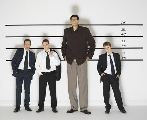 ��ϲ˳����״��� ����Ҧ����Ӱ����