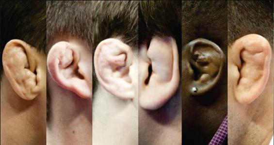 ���׶�����ô��ô��?���׶����Ķ�����ô��