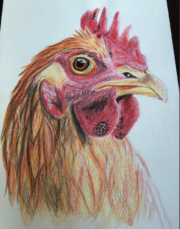 ʲô��ɫ�Ĺ�����а ����Ѫ��ô��լ